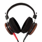 Photo of the S950 Headphones from the back on a white background.